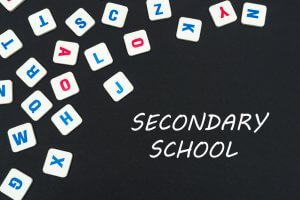 Secondary School English