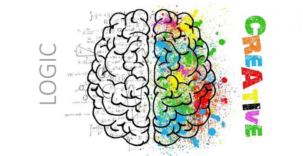 left and right brain