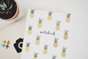 Pineapple notebook
