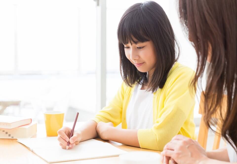 Student having lessons with tutor