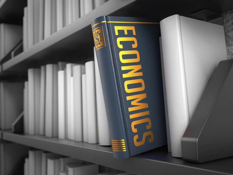 Grey Book with the words Economics