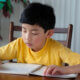 Cute Asian Boy Doing Homework