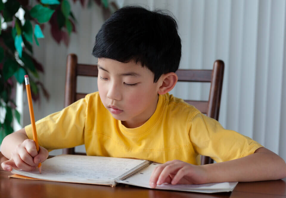 Cute Asian Boy Doing Homework