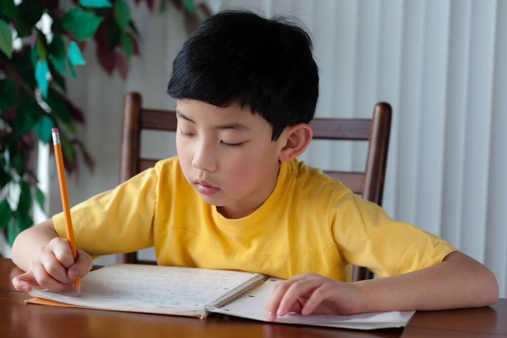 Cute Asian Boy Doing Homework